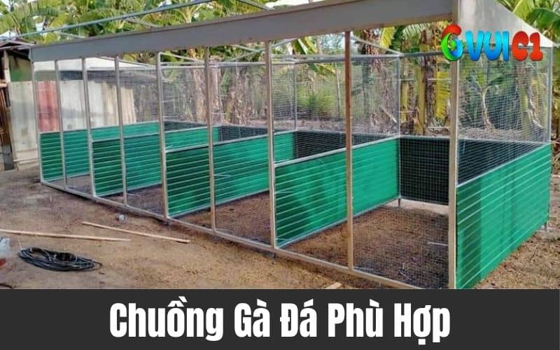 Bố trí và thiết kế chuồng trại hợp lý Bố trí và thiết kế chuồng trại hợp lý
