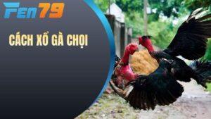 Cách xổ gà chọi