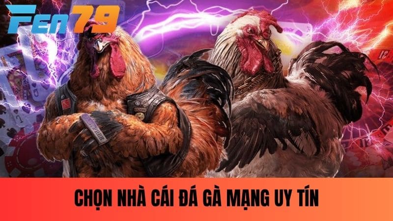 Chọn nhà cái đá gà mạng uy tín là yếu tố cực kì quan trọng