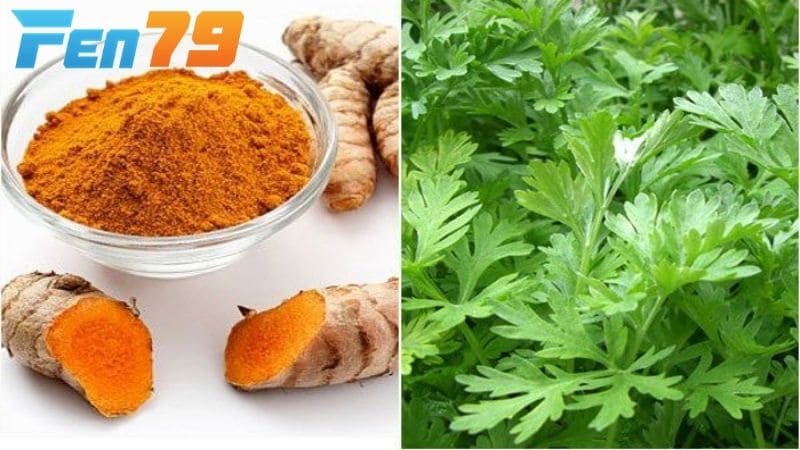 Chuẩn bị các nguyên liệu để vào nghệ cho gà chọi