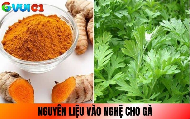 Chuẩn bị nguyên liệu để vào nghệ cho gà chọi Chuẩn bị nguyên liệu để vào nghệ cho gà chọi