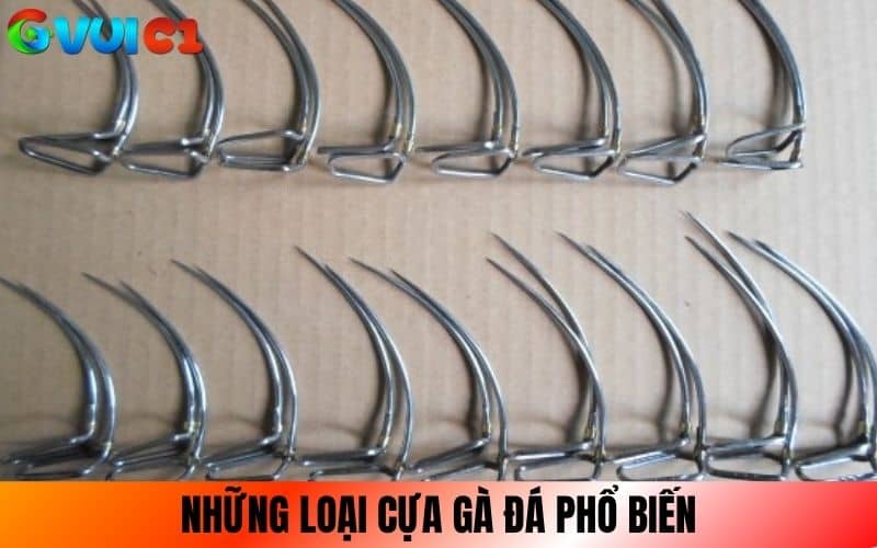 Những loại cựa gà đá phổ biến trên trường Những loại cựa gà đá phổ biến trên trường