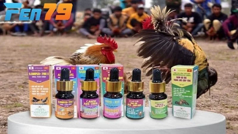 Sử dụng thuốc nuôi gà đá mang lại lợi ích vượt trội