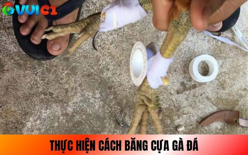 Thực hiện các bước băng cựa gà đúng cách Thực hiện các bước băng cựa gà đúng cách