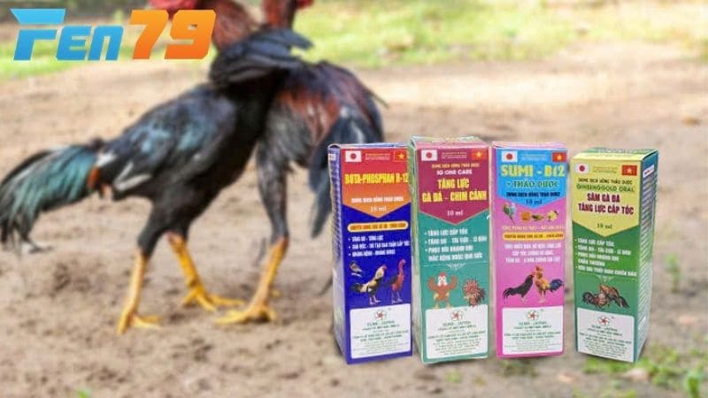 Thuốc bổ tăng cơ giúp gà phát triển cơ bắp mạnh mẽ