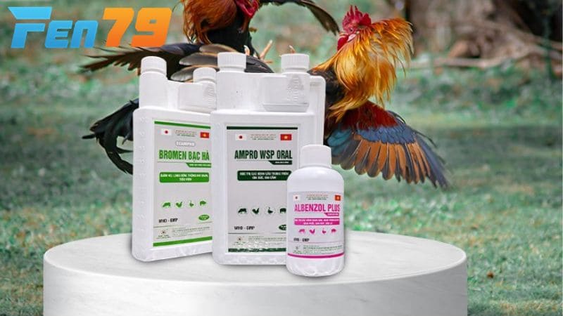 Thuốc phòng ngừa các bệnh bất thường ở gà đá