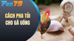 Cách pha tỏi cho gà uống