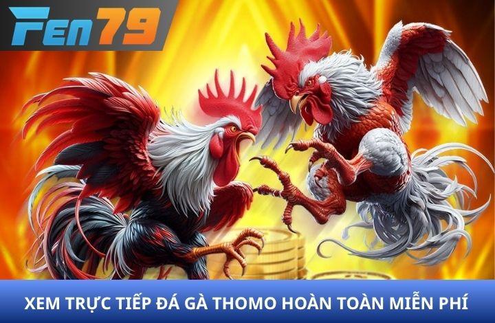 Xem trực tiếp đá gà Thomo miễn phí cùng FEN79 Xem trực tiếp đá gà Thomo miễn phí cùng FEN79