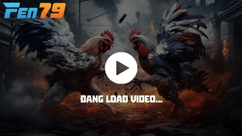 Chất lượng hình ảnh được truyền tải sắc nét